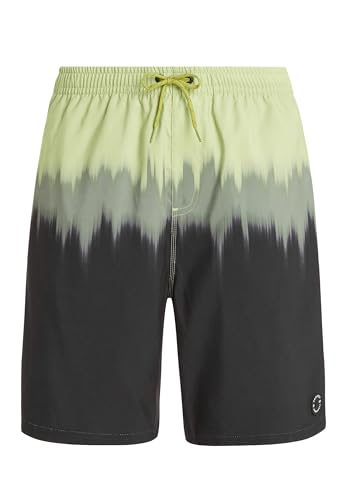 Protest Men Beachshorts PRTCAGNES Algaegreen XL von Protest