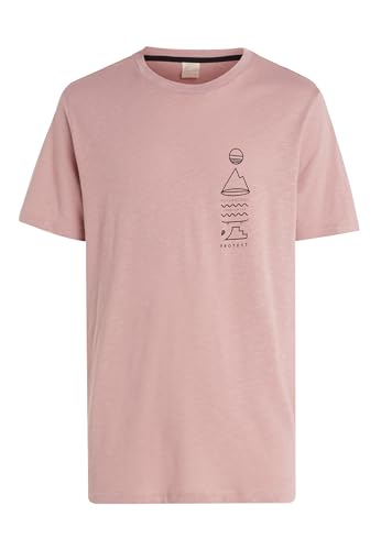 Protest Herren T-Shirt PRTRHODAS Mauve M von Protest