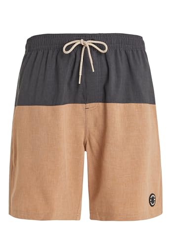 Protest Men Beachshorts PRTFORTA Sealbeige XL von Protest