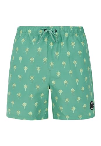 Protest Men Boardshorts PRTALVIS Frosty Green XL von Protest