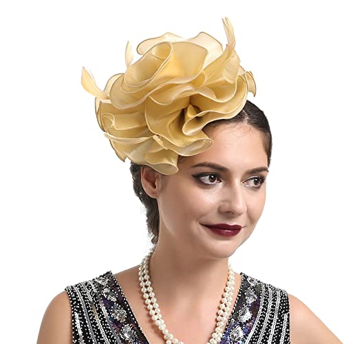 Fascinator Schwarz Damen Fasching Kostüm Accessoires Sinamay Feather Flower Derby Ball Flower Feather Mesh Elegant Bridal Tea Party Hat Bridal Wedding for Dress Party Cocktail von QIFLY