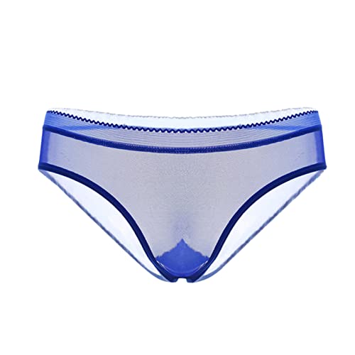 QWUVEDS Damen-Höschen, nahtlos, bequem, mit niedriger Taille, sexy Slips Herren Unterwäsche Sexy Reißverschluss Sexy Damen String Spitze Sexy Slip Damen Spitze Sexy Transparent von QWUVEDS