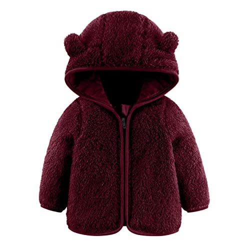 QZQZ Plüschjacke Kinder Mädchen Jungen Mit Kapuze Winter Warme Fleecejacken Baby Fleece Oberbekleidung Reißverschluss Fleecemäntel Jacke Outwear Winterjacke Parka Jacke Steppjacke von QZQZ