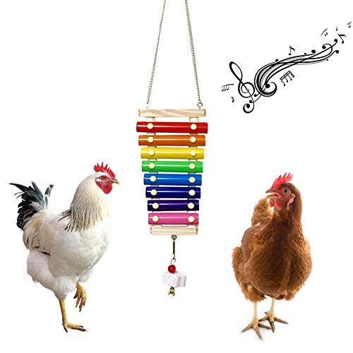 Buntes Hühner-Xylophon-Spielzeug, Hühnerspielzeug für Hühnerstall, Holz-Xylophon, Picken, Ablenkung, Klangerzeugendes Spielzeug Zum Aufhängen, Lustiges Xylophon-Spielzeug mit 8 Buntes Hühner-Xylophon-Spielzeug, Hühnerspielzeug für Hühnerstall, Holz-Xylophon, Picken, Ablenkung, Klangerzeugendes Spielzeug Zum Aufhängen, Lustiges Xylophon-Spielzeug mit 8 von Qcwwy