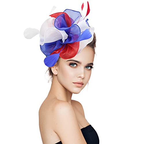 Qixiu Hüte für Damen Fascinators Damen Pillbox Blumenhut für Tea Party Cocktail Hochzeit Kirche Laufzubehör Damen (A, One Size) von Qixiu