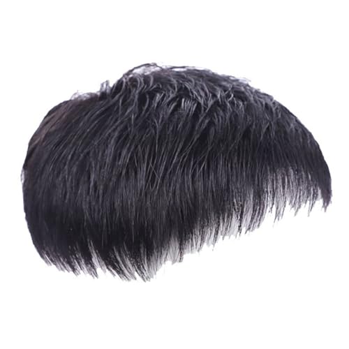 Qtynudy Männer Natürliche Schwarze Kurze Perücken Gerade Perücke Haar Clip-On Toupet Haar Männer die Oberseite der Kopfperücken Ersatzperücken (A) von Qtynudy
