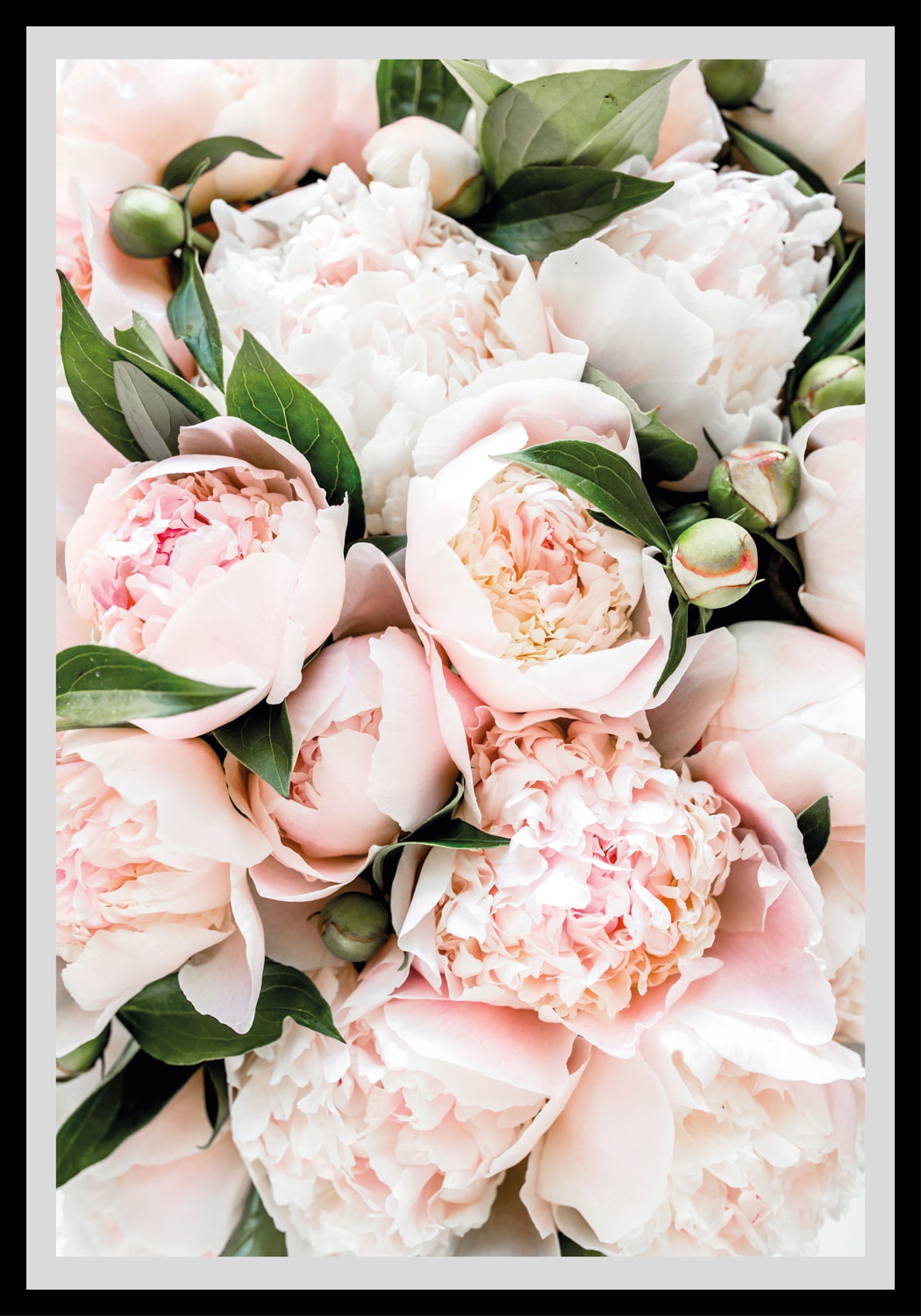queence Bild "Stefanie", Blumen, gerahmt, Rosen von Queence