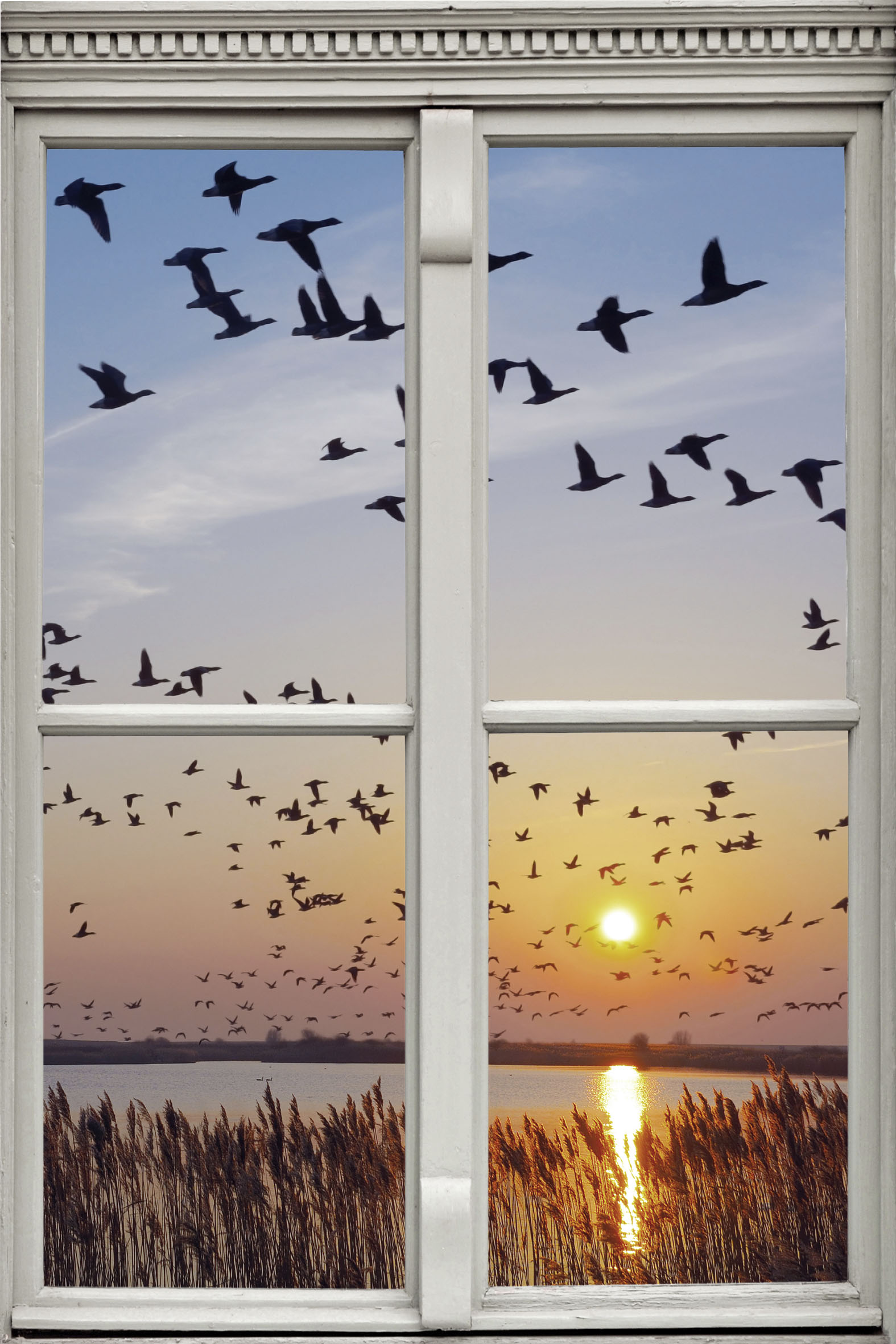 queence Wandsticker "Vogelschwarm", Wandsticker, Wandbild, selbstklebend, 3D, Fenster queence Wandsticker "Vogelschwarm", Wandsticker, Wandbild, selbstklebend, 3D, Fenster von Queence