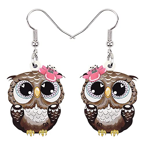 RAIDIN Acryl Cartoon Eule Ohrringe für Damen Mädchen Hypoallergene Ohrringe Hanging Tropfen Tiere Eule Schmuck für Geschenk Party Geburtstag Dekorationen (Braun) von RAIDIN