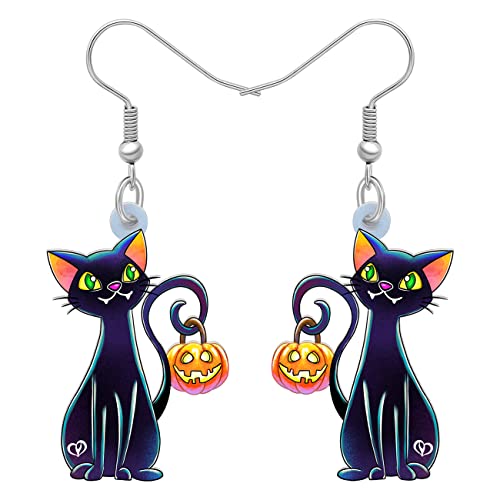 RAIDIN Acryl Halloween Ohrringe Charms schwarze Katze mit Kürbis Fisch Haken baumeln Tropfen Ohrringe Tiere Schmuck für Frauen Mädchen Party Festival Geschenke Dekorationen (Schwarz) von RAIDIN