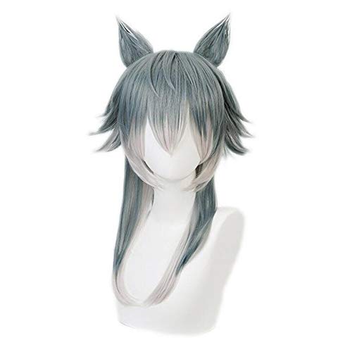 RONGYEDE Anime cosplay perücke Anime BEASTARS Legoshi Perücke mit Ohren Cosplay Kostüm Männer Frauen Hitzebeständige synthetische Haare Wolf Perücken Wie das Bild von RONGYEDE