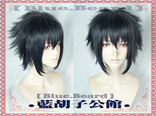 RONGYEDE Anime cosplay perücke Schwarze Perücke FF15 Final Fantasy XV Noctis Lucis CaelumCosplay Perücke Kurzes Haar für Männer Frauen Unisex von RONGYEDE