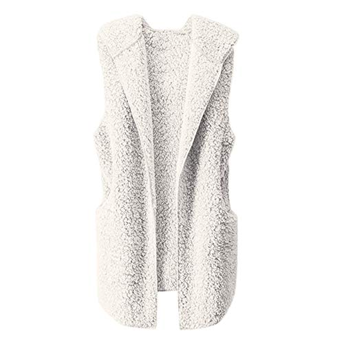 RYTEJFES Damen Teddy Fleece Weste mit Reißverschluss Plüschweste ohne kapuze Herbst Winter Warm Ärmellos Vest Jacke Felljacke Bequem Cardigan Casual Sportweste Wintermantel mit Zip up von RYTEJFES