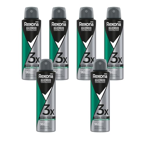 6x Rexona Men Rexona Men Maximum Protection Deospray Anti-Transpirant Intense Fresh 150 ml von Rexona