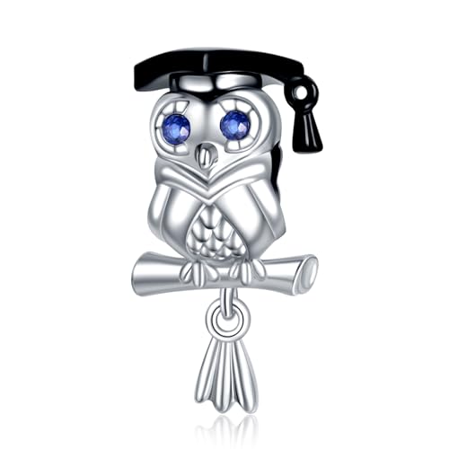 Rimgoris 925 Sterling Silber Charm für Damen Armbänder Halskette Dr.Owl Bachelor Cap Abschlussgeschenke Charm Armband für Damen von Rimgoris