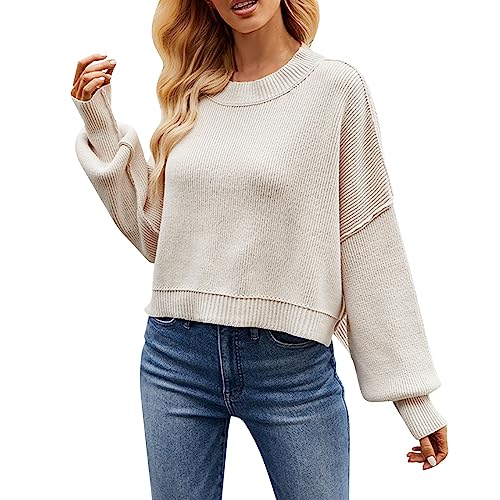 Rumity Damen Strickpullover Pullover Damen Bluse Langarm Shirt Tunika Tshirt Kleidung Oberteile Tops Oversize Pullover Turtleneck Damen von Rumity