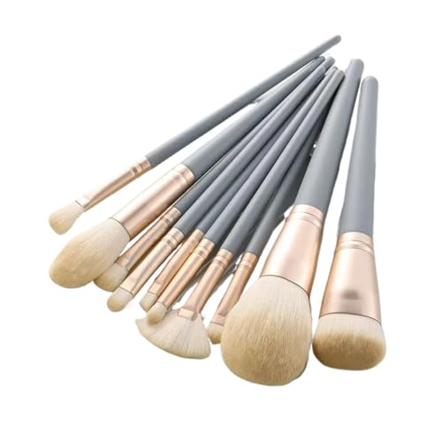 SBTRKT 8-20Pcs Make-Up Pinsel Set Lidschatten Foundation Frauen Kosmetische Pulver Erröten Blending Schönheit Make-Up Schönheit Werkzeuge (Color : 10PCS Blue) von SBTRKT