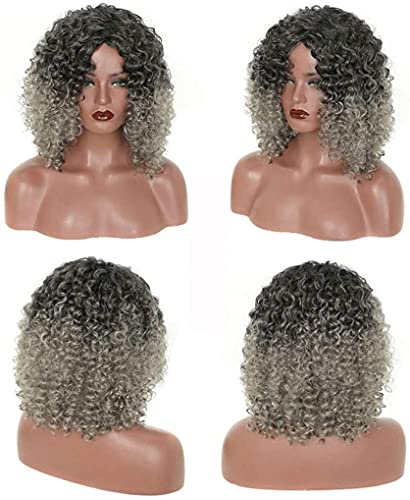 Perücken Herren Perücke Damen Synthetische Afro-Lockenhaarperücken, Kurze Lockige Perücken, Hitzebeständige Faser, Kurze Lockige Perücke for Party, Halloween, Cosplay Perücke Täglich (Color : B) von SOCUY