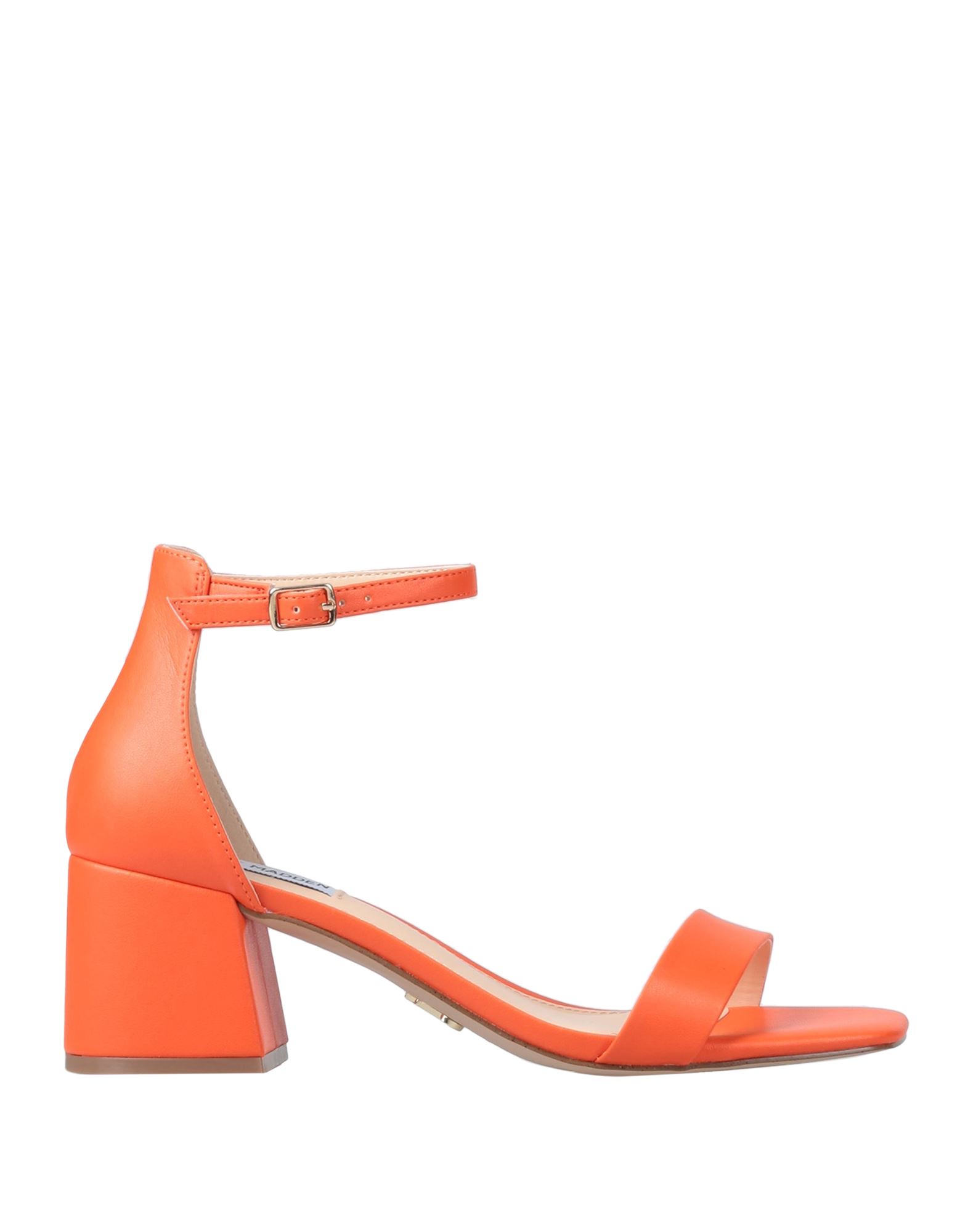 STEVE MADDEN Sandale Damen Orange von STEVE MADDEN