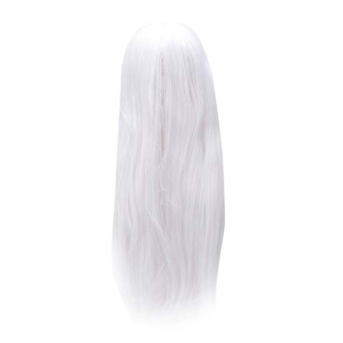 SWILDER Anime Long Straight Hair Wig Cosplay Long Straight Costume, White von SWILDER