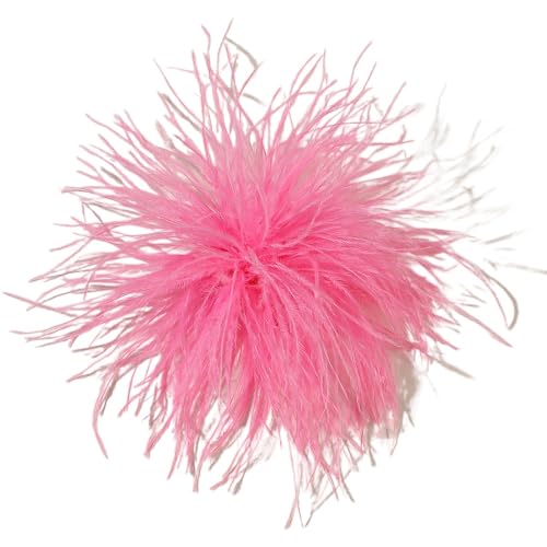 SYSUII Feder Brosche für Frauen - Flauschige Straußenfeder Brosche Feder Ansteckbrosche Kopfbedeckung für Karneval Cosplay Party, Tanz, Bankett Anstecknadel, Kleid, Anzug, Kleidung, Accessoires SYSUII Feder Brosche für Frauen - Flauschige Straußenfeder Brosche Feder Ansteckbrosche Kopfbedeckung für Karneval Cosplay Party, Tanz, Bankett Anstecknadel, Kleid, Anzug, Kleidung, Accessoires von SYSUII