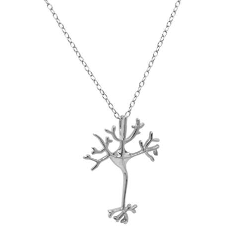 ScienceFox Neuron Nervenzellen Anhänger mit Halskette aus 925 Sterlingsilber in Silber Gold Rosegold 40cm Kette plus 7cm Verlängerung (925 Sterlingsilber) von ScienceFox