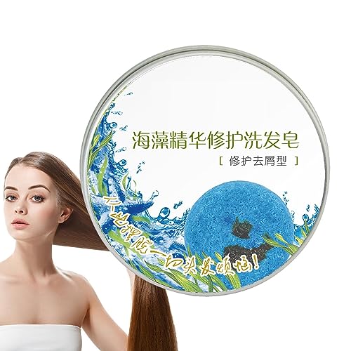 Haar-Shampoo-Riegel,Bio-Algen-Shampoo-Riegel zur Stärkung | Anti-Haarausfall-Haarriegel-Shampoo hilft bei trockenem Haar und spendet Feuchtigkeit für die Haarpflege von Männern und Frauen Shichangda von Shichangda