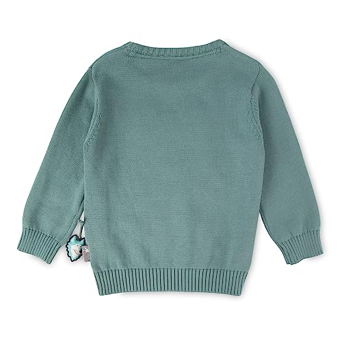 sigikid Mini Jungen Pullover Polar Expedition von Sigikid