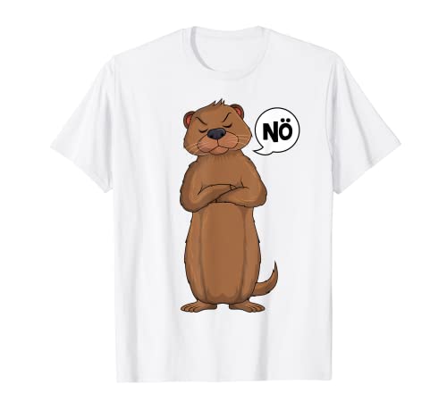 Otter Seeotter Jungen Kinder Damen T-Shirt von Süße Otter Designs & Geschenkideen