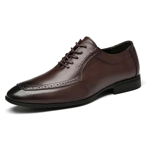 Formelle Schuhe for Männer, Schnürschuhe, spitze Zehenpartie, brünierte Leder-Oxford-Schuhe, Gummisohle, niedriger Schaft, rutschfester Blockabsatz, rutschfester Abschlussball(Color:Braun,Size:47 EU) von TAYGUM