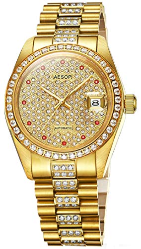 TEINTOP Aesop Herren Uhr Crystal Japan Automatik Mechanische Edelstahlband (Gold) von TEINTOP