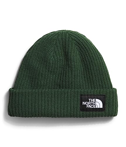 THE NORTH FACE Herren Logo Box Beanie Mütze, Tannennadel, Einheitsgröße von THE NORTH FACE