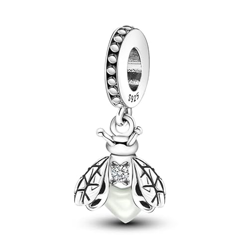 TINSLO Charm Anhänger Damen 925 Sterling Silber für Armband Charms Beads passend für Pandora Armband und Halskette, Kompatibel mit Europäischen Armbänder für Frauen Mädchen von TINSLO