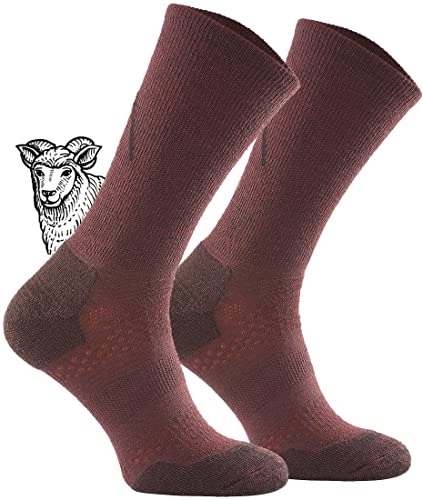 TODO BP LIGHT Dünn Merino Wandersocken für Herren, Damen,Trekking-Socken, Atmungsaktiv, 34% Merinowolle Blend Funktionssocken, Outdoor (39-42, Rotwein) von TODO