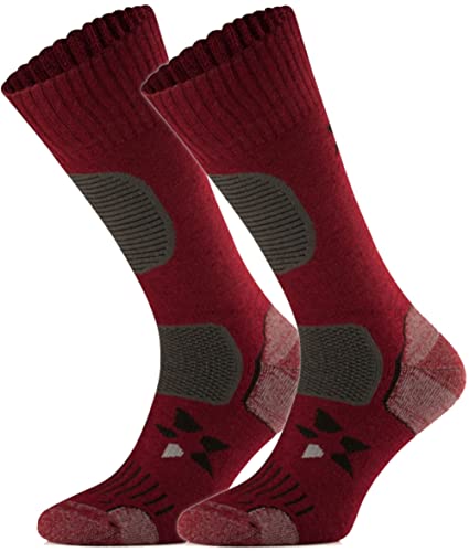 TODO BP Medium Dicke Wandersocken 34% Merino Wolle Herren und Damen. Socken für Outdoor, Hiking, Wandern, Camping, zum Wald, Bergsocken (35-38, Rotwein) von TODO