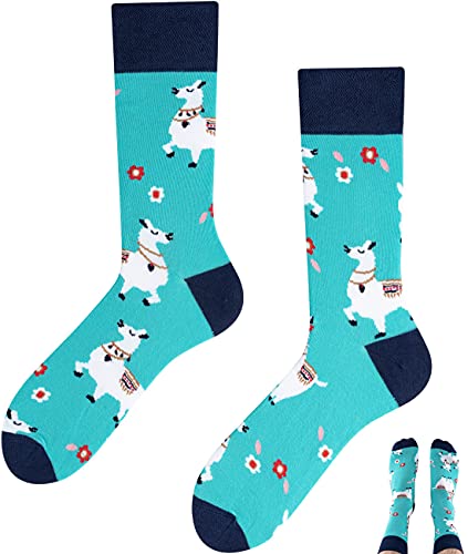 TODO Colours Lustige Socken mit Motiv - mehrfarbige, bunte, Verrückte für Herren und Damen (39-42, Alpaca-Lama Socken) von TODO