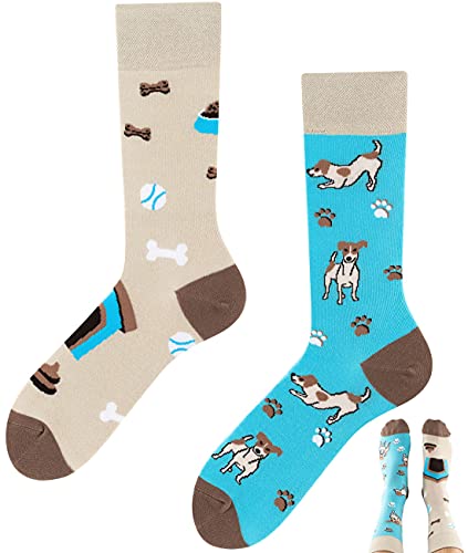 TODO Colours Socken Lustig mit Motiv für Herren und Damen - Lustige, Mehrfarbige, Verrückte (39-42, Jack Russell Socken) von TODO