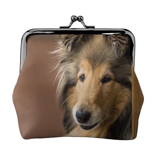 Langhaarcollie, Lassie-Hunde, große, Flauschige Hunde, Haustiere, Leder-Geldbörsen, Geldbörsen, Leder-Wechseltasche mit Kussverschluss-Schnalle von TRUIGYN