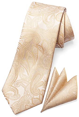 TaecMin Herren-Krawatten, solide Krawatten für Herren, Paisley-Krawatten und Einstecktuch, Set mit Blumen-Anstecknadeln für Hochzeiten, A-champagner, Einheitsgröße von TaecMin