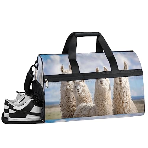 Llama Family Print Turnbeutel Sport Turnbeutel mit Nassfach & Schuhfach Turnbeutel für Damen Turnbeutel für Männer Workout Tasche Sportbeutel Weekender Bag mit Schuhfach, Lama-Muster, 19.7*9.9*13 von Tavisto