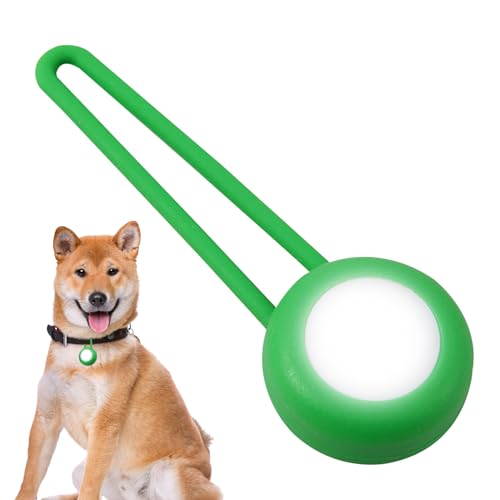 Tedious Hundehalsband mit LED-Licht, leuchtende Hundemarke,LED-Hundehalsband-Sicherheits-Nachtlicht-Anhänger | Helles Hundelicht, Heimtierbedarf, gut sichtbarer Nachtblitz für Hunde beim nächtlichen von Tedious