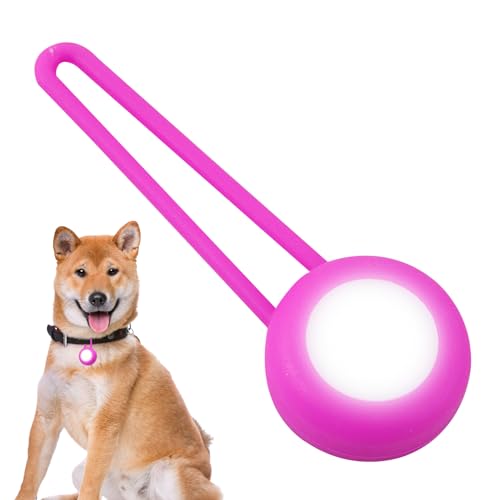 Tedious Leuchtende Hundemarke, Lichter für Hundehalsbänder | LED-Hundehalsband-Sicherheits-Nachtlicht-Anhänger | Helles Hundelicht, Heimtierbedarf, gut sichtbarer Nachtblitz für Hunde beim nächtlichen von Tedious