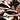 Tilocow Pantoletten für Damen – flache Schuhe, elegante bequeme Pantoletten, Metallkette, Slip-Ons, rückenfrei, Loafers, modische 2023-Schuhe, Schwarz/Blumenmuser, 40 EU von Tilocow