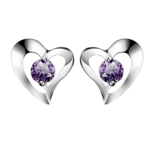 Strandohrringe Temperament Licht Luxus Creolen Silber Ornamente geschmückt mit Diamanten Ohrringe Schmuck für Frauen und Mädchen Silber Damen Ohrringe Pferde Kinder Silber (Purple, One Size) von Tonsee Accessoire