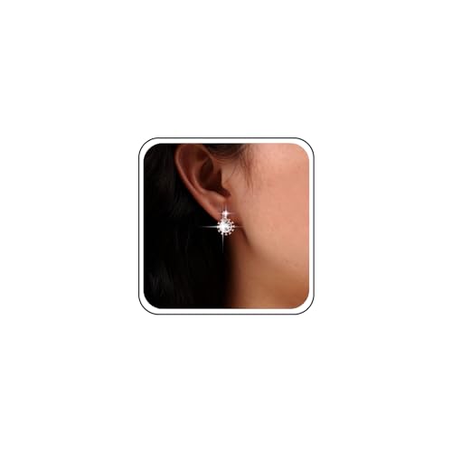 TseenYi Strass Braut Ohrringe Rund Cubic Zirkonia Tropfen Ohrringe Rose Gold Kristall Bar Ohrringe Kreis Cz Tropfen Hochzeit Ohrringe Glitter Strass Ohrringe Schmuck Für Frauen Und Mädchen von TseenYi