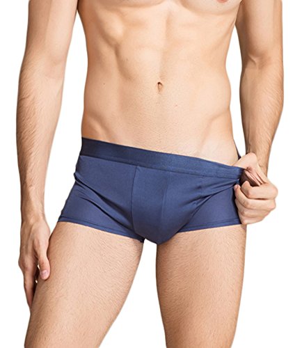 Men's Mulberry Silk Knitted Boxer Brief Stretchable Underwear Blau XXL von Tulpen