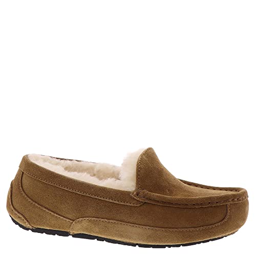 UGG Unisex Kinder Ascot Slipper, Chestnut Suede, 33.5 EU von UGG