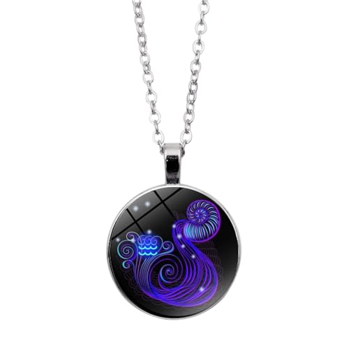 Horoskop-Halskette Für Damen Und Herren – Astrologie-Halskette,Geschenke Für Mädchen,12 Sternbild-Symbol-Anhänger,Halskette,Schlüsselbeinkette,Schmuck,Geschenk Für Damen Und Herren,Wassermann,5 von UOMSKTY