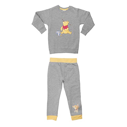 Disney Winnie Puuh Baby Set Unisex Oberteil Pullover mit Hose 2-Teiler Grau (62-68) von United Labels