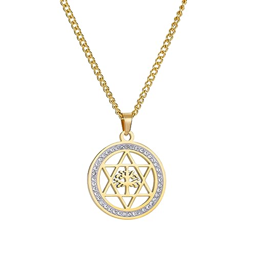 VASSAGO Baum des Lebens Halskette Davidstern Halskette für Männer Frauen Stammbaum Schmuck Religiöse Judaica Geschenke, Edelstahl VASSAGO Baum des Lebens Halskette Davidstern Halskette für Männer Frauen Stammbaum Schmuck Religiöse Judaica Geschenke, Edelstahl von VASSAGO